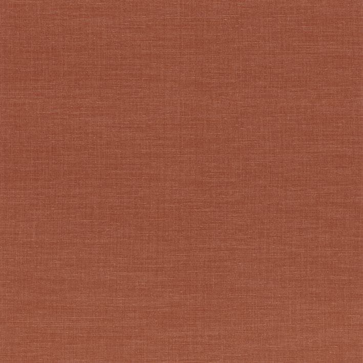 SHINOK ORANGE FLAMBOYANT LE LIN 3