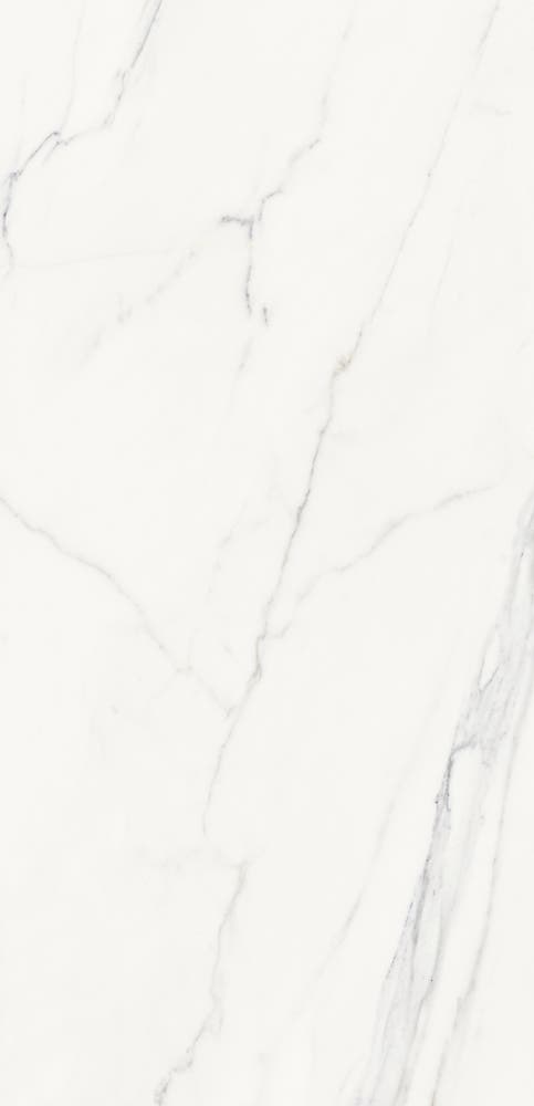 Polar Carrara 60x120 såg