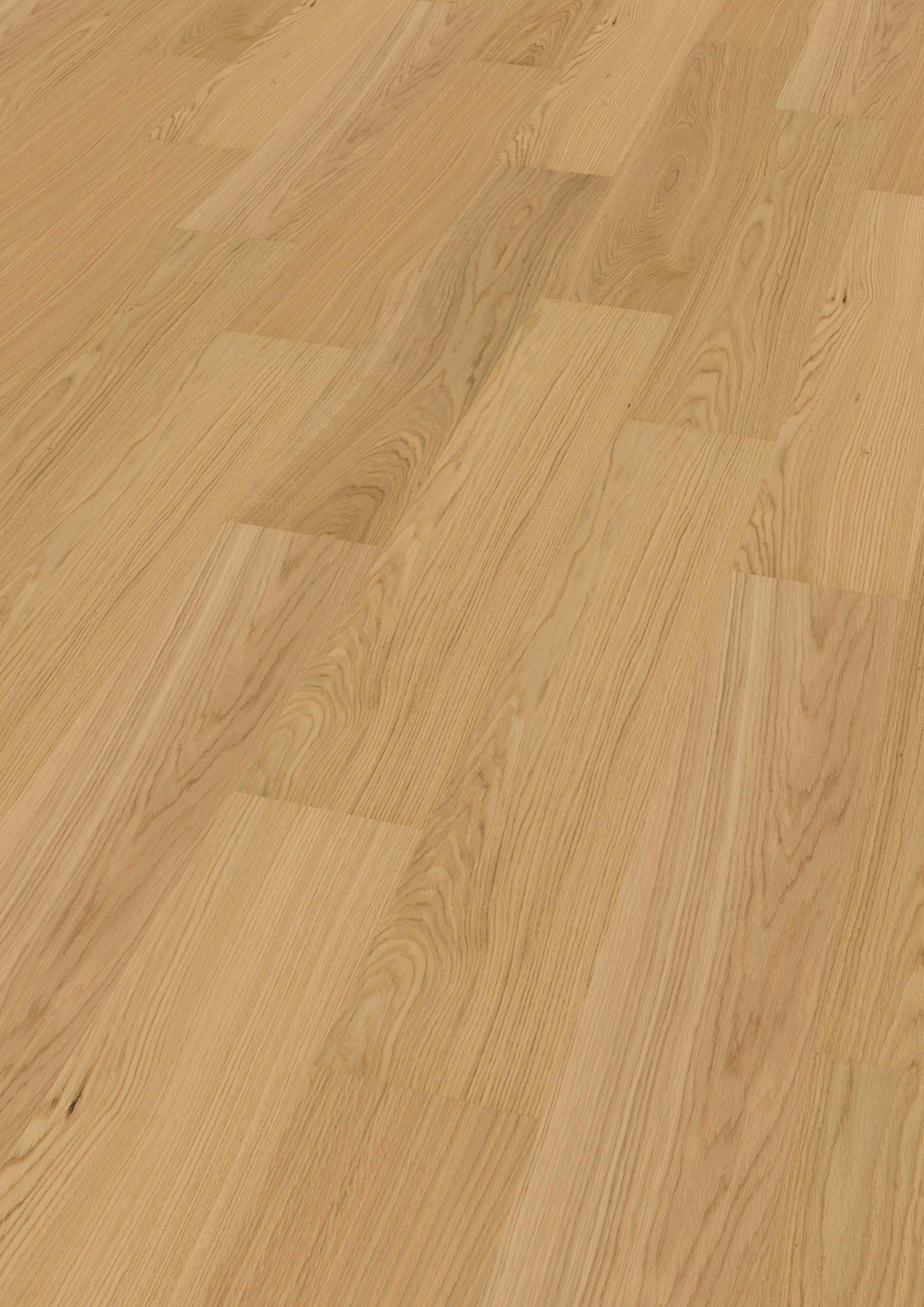 Maxwood Lodge - Ek Natur