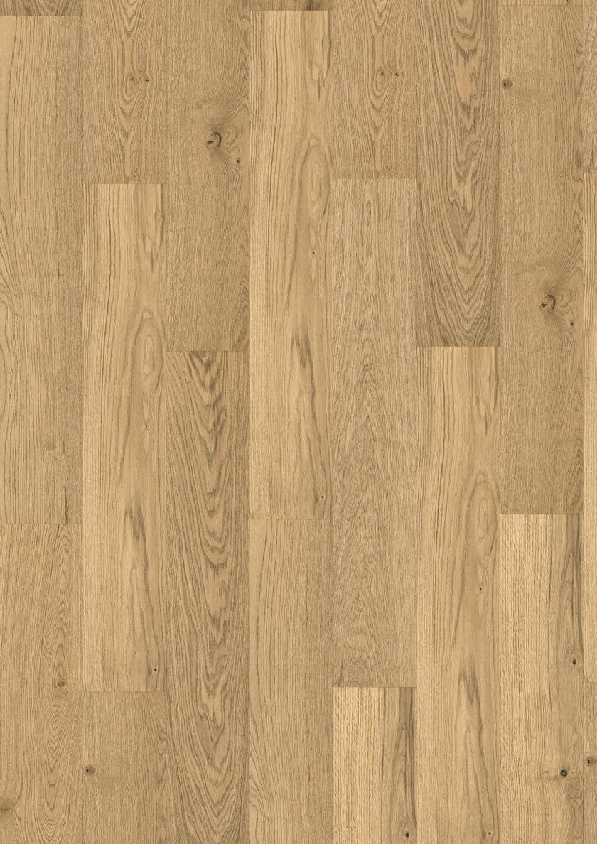 Maxwood Lodge - EK Unique Amber