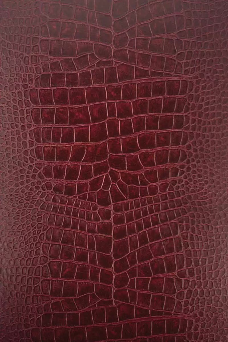 Osborne & Little - Crocodilo