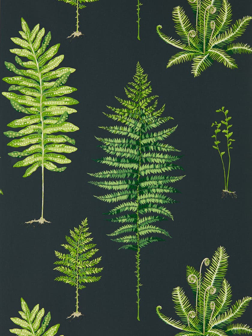 Fernery Botanical Green/C Glasshouse Wallpapers