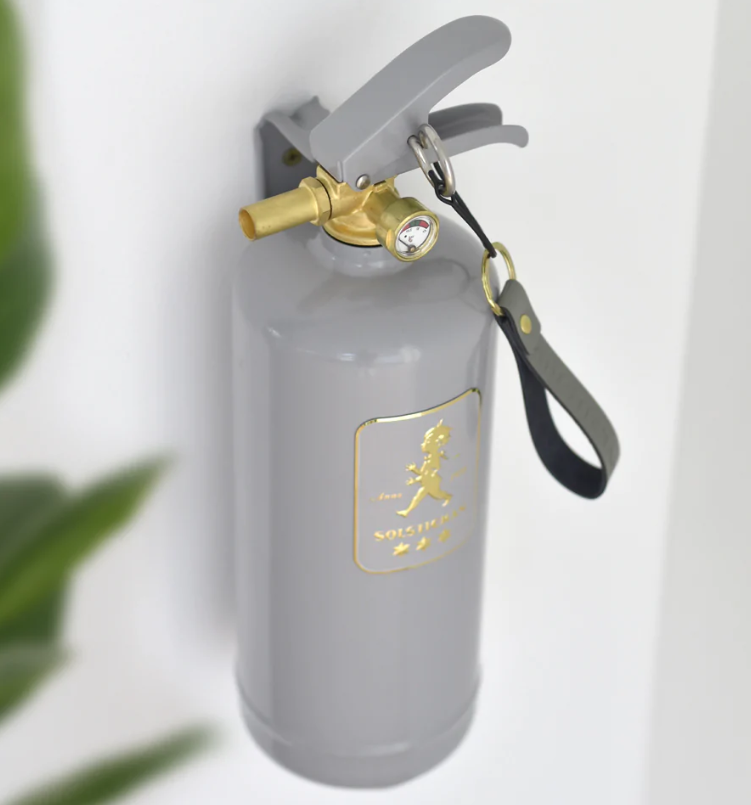 Brandsläckare 2 kg Grå/Guld