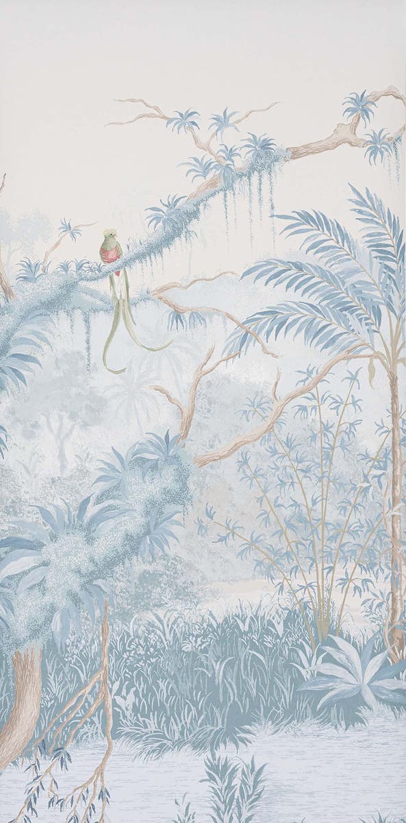 Manuel Canovas - Borneo Celeste
