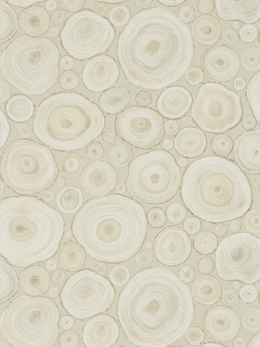 Sanderson - Alnwick Logs Birch Embleton Bay Wallpapers