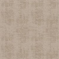 JOHARA TAUPE MOYEN LE VELOURS 2