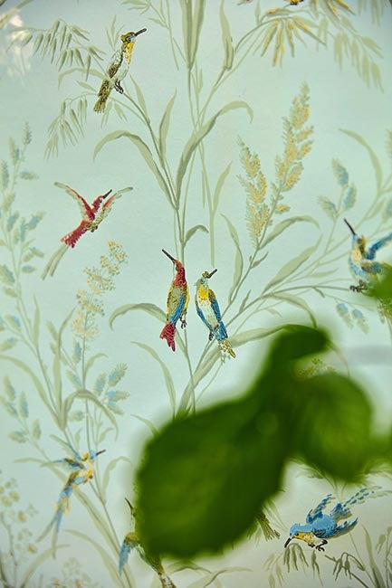 Sanderson - Fruit Aviary Duck Egg/Mul Country Woodland Wallcove