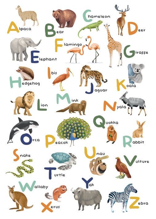 LET S LEARN THE ALPHABET LES MINI MONDES