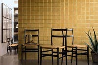 Essences de Bois Caïssa Paulownia wood RM43420