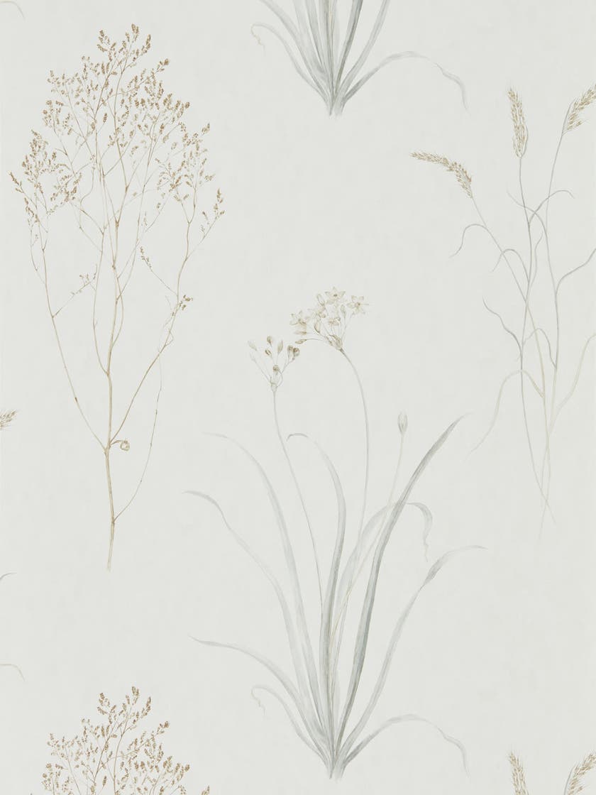 Sanderson - Farne Grasses Silver/Ivor Embleton Bay Wallpapers