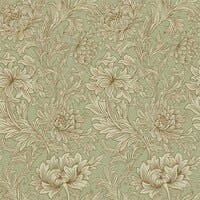Chrysanthemum Eggshell/Go Morris 160th Anniversary