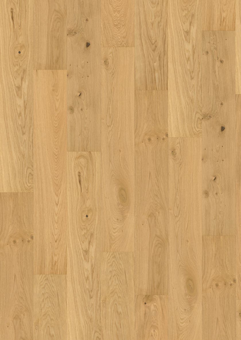 Maxwood Lodge - Ek Unique