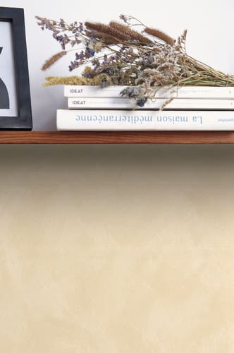 Caselio Uni Coquille D Oeuf