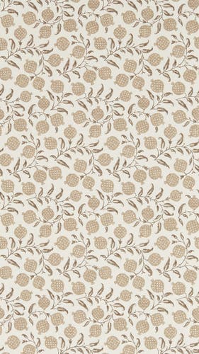 Sanderson - Anaar Shiitake