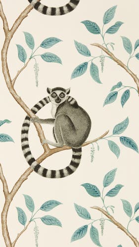 Sanderson - Ringtailed Lemur Ringtail Glasshouse Wallpapers