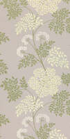 Cowparsley Amethyst Sanderson One Sixty Wallp