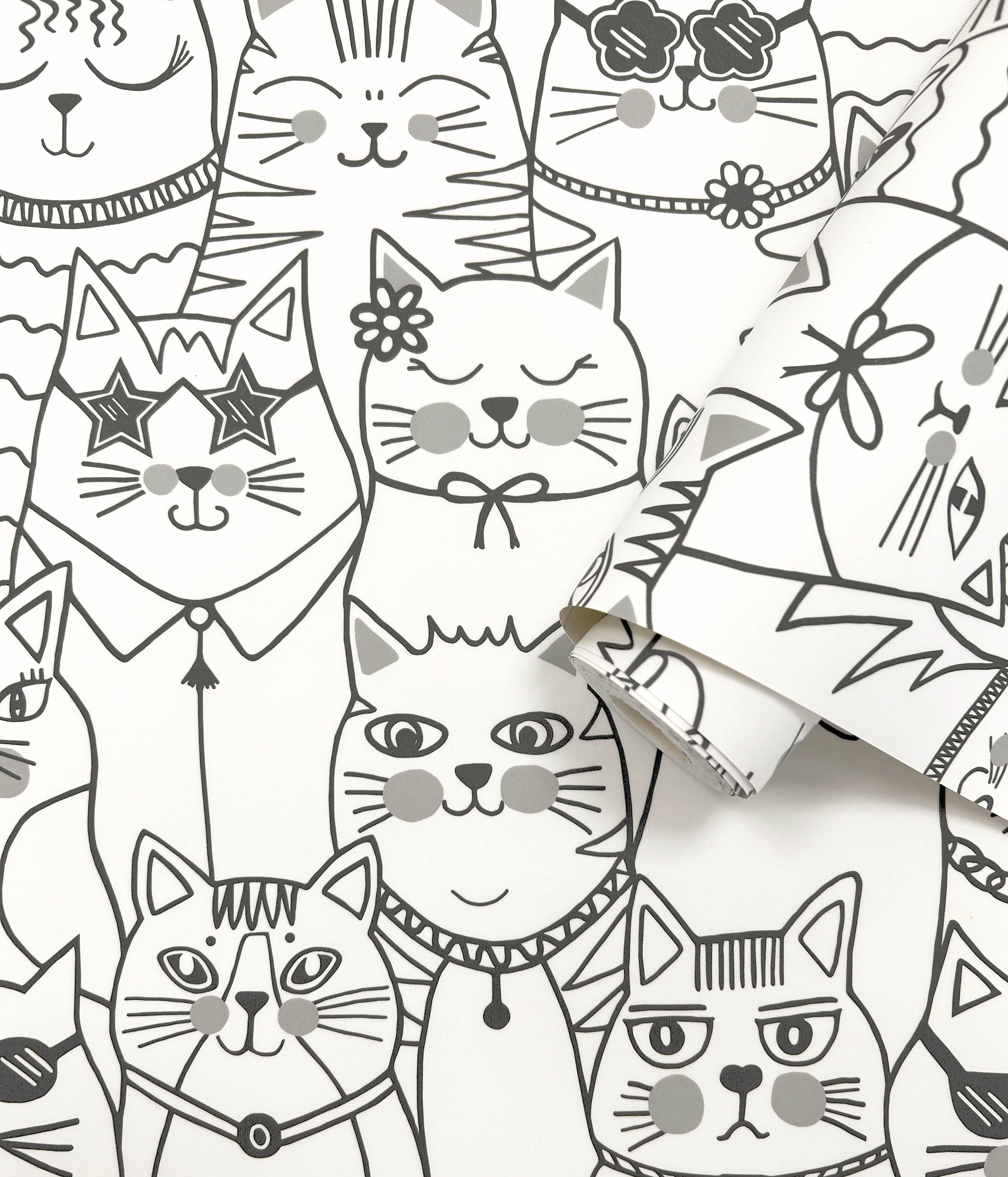 Intrade - Colour-me Cats Black/White