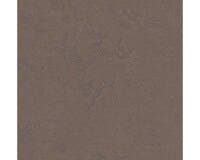 Marmoleum Click Delta lace 60 x 30 cm