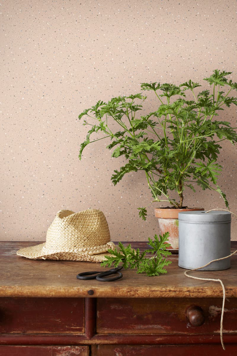 Boråstapeter - Johan, Anno Wallpapers