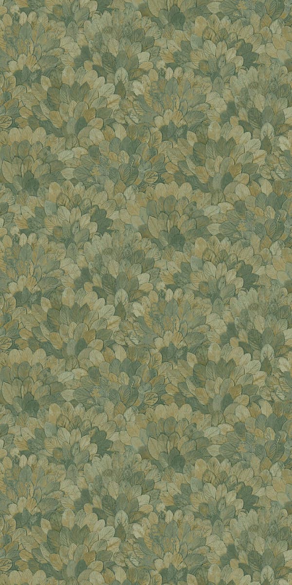 Casamance - Feijoa Cyprès Modernismo