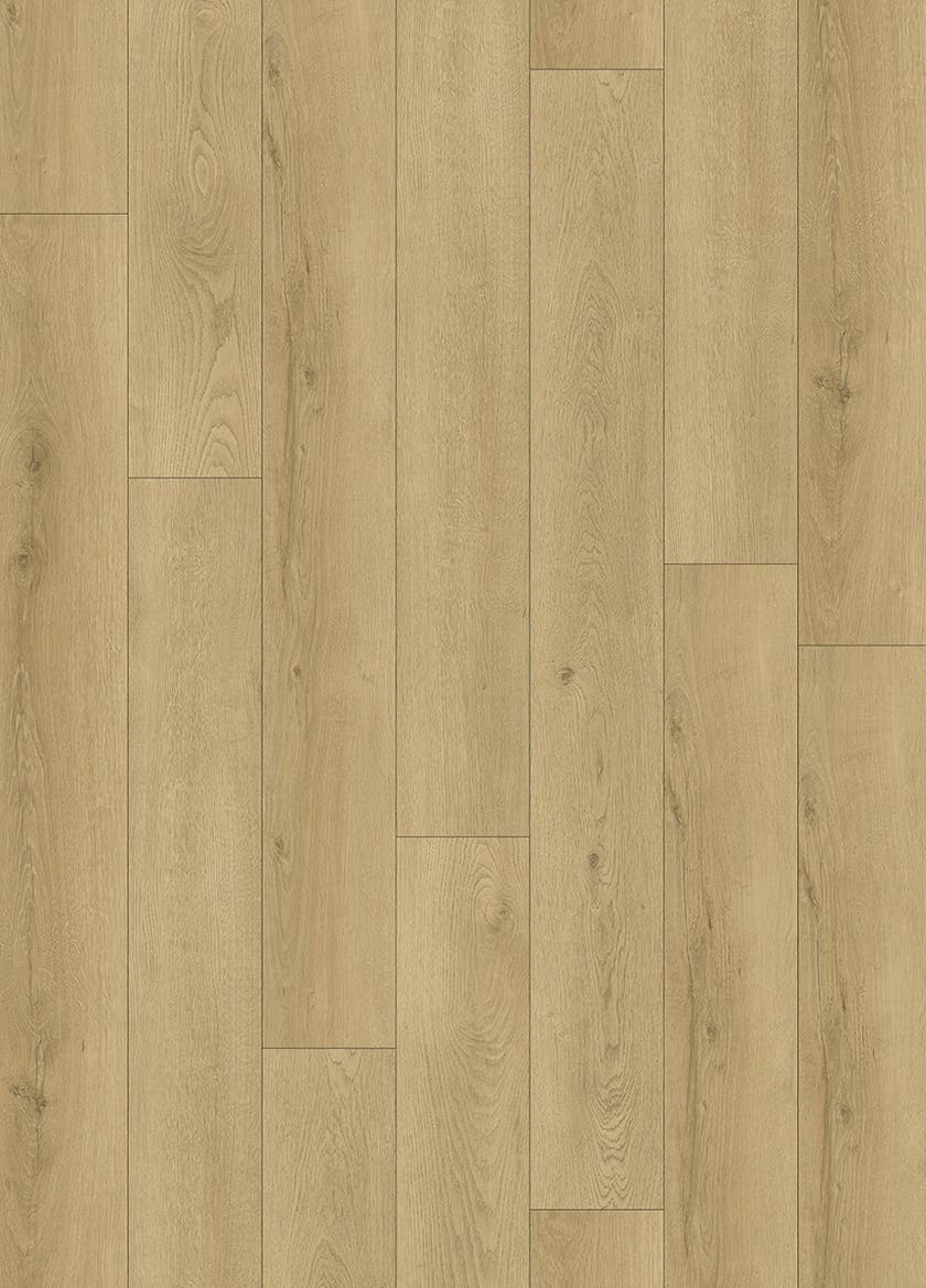 Softstep SYNQ Grand Cru