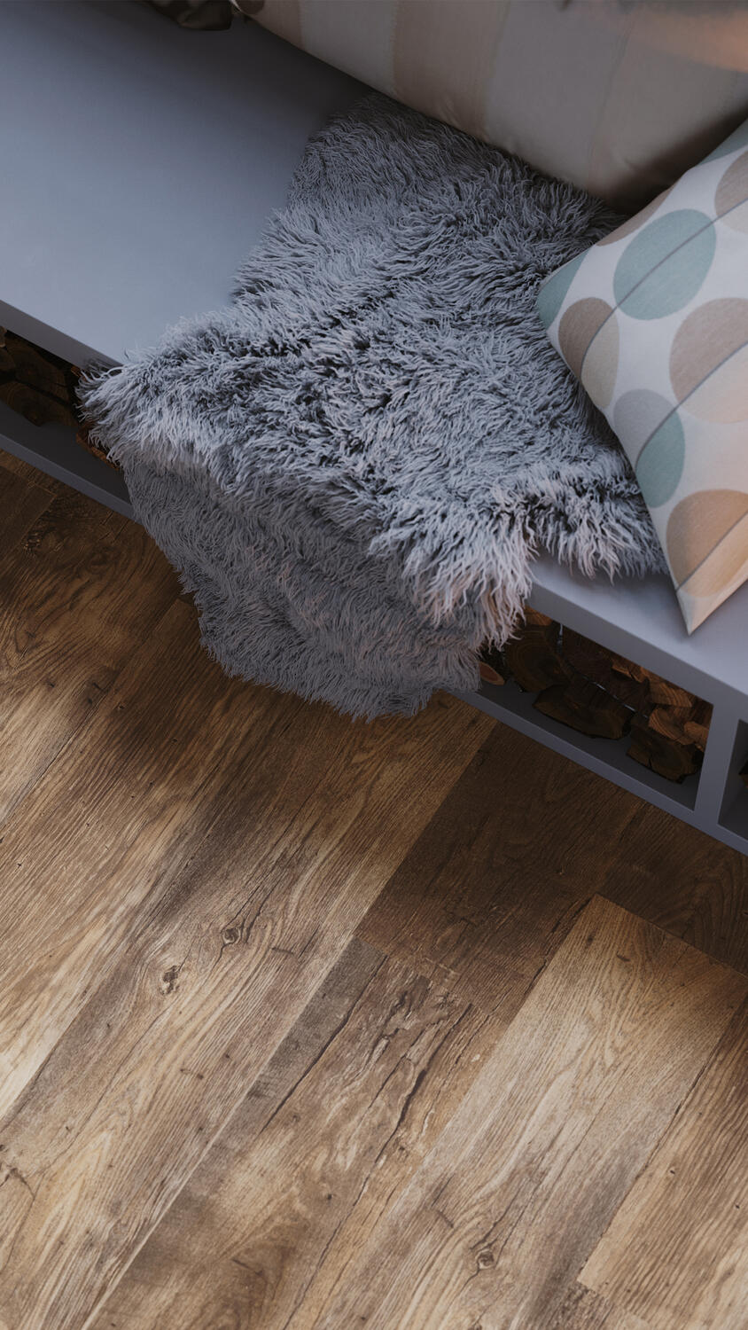 Flanders, Dark Brown 4m bred | Iconik T-Extra