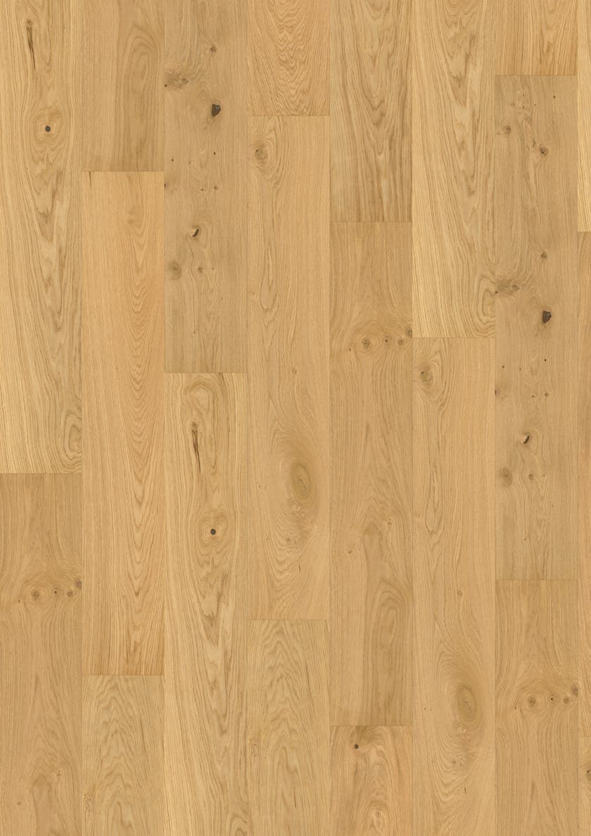 Maxwood Lodge - Ek Unique