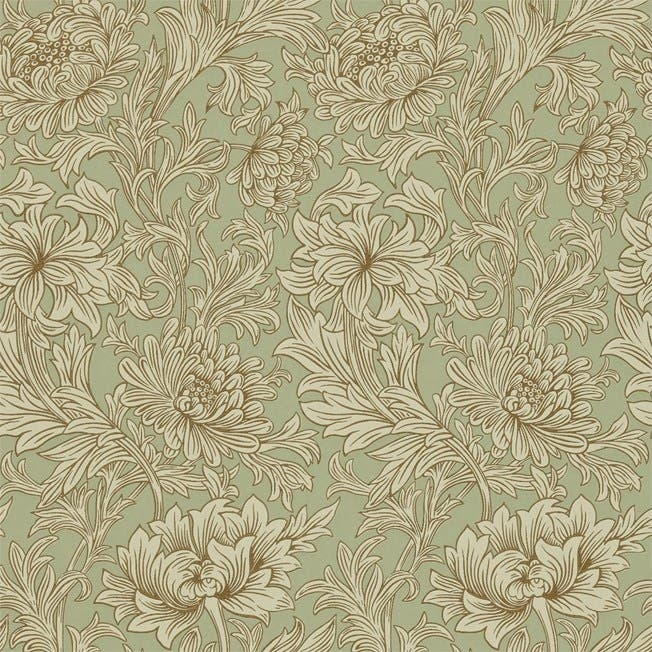 Chrysanthemum Eggshell/Go Morris 160th Anniversary