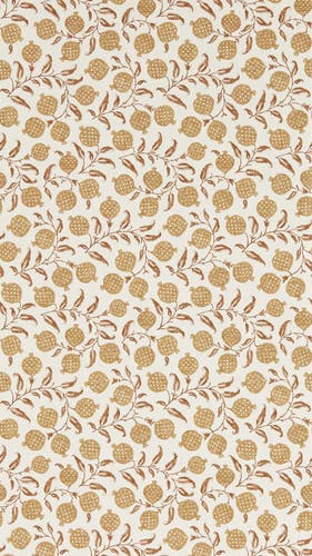 Sanderson - Anaar Lionsmane