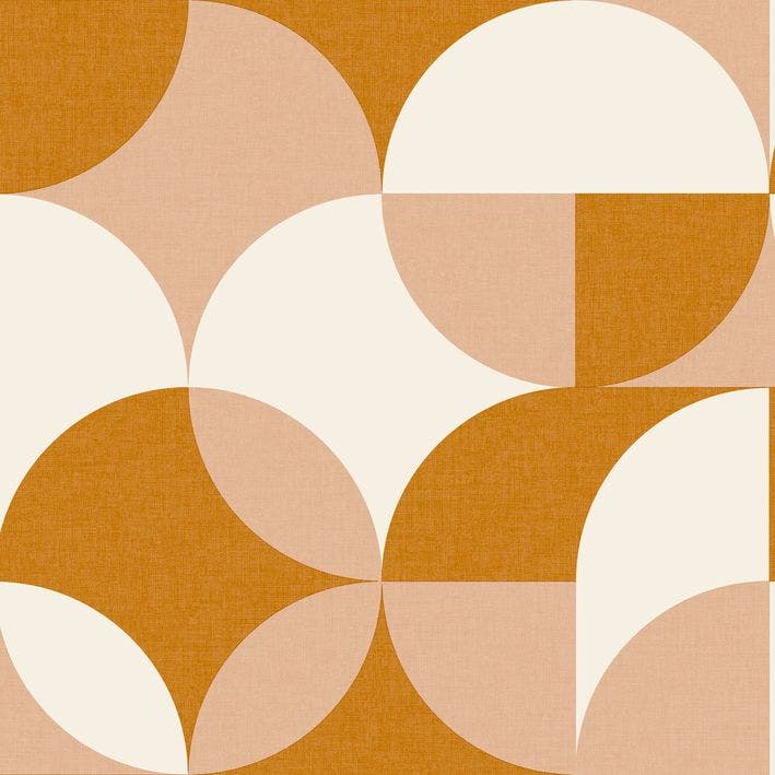 Charly Orange Rose