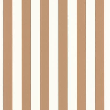 LITTLE LINES CAMEL BASICS