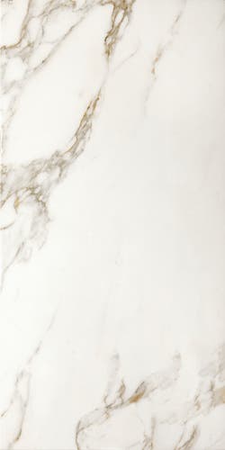 Invite Calacatta gold 60x120 såg