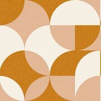 Charly Orange Rose