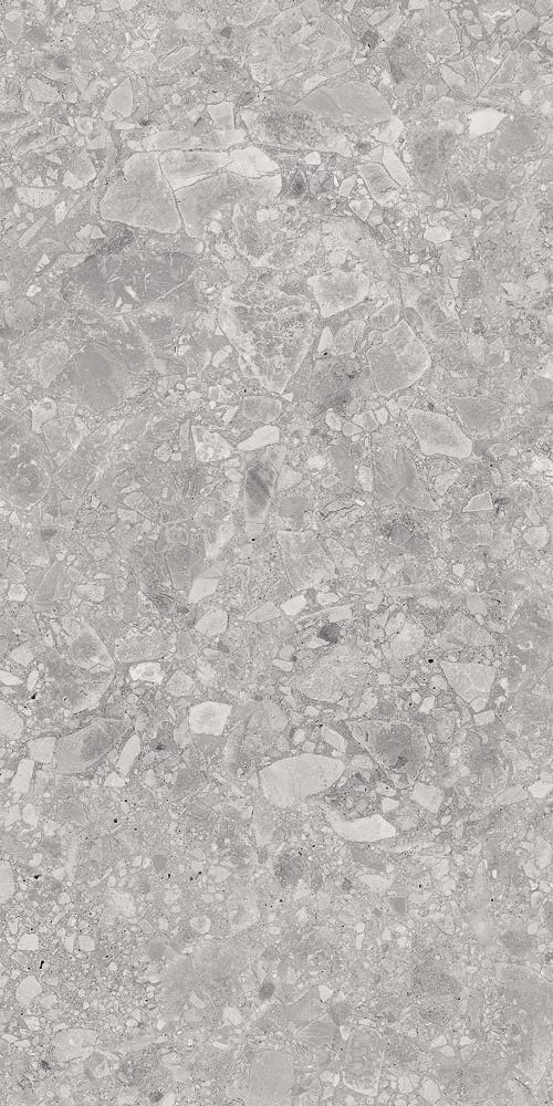 Ceppo Design Grey 30x60 såg