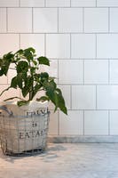 Colour basic Vit blank 15x15