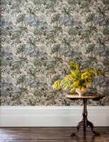 The Stumpery Fern