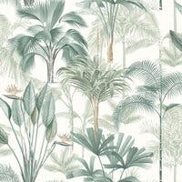 King Palm Green
