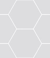 Haze Silver matt hexagon 15x17