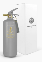 Brandsläckare 2 kg Grå/Guld