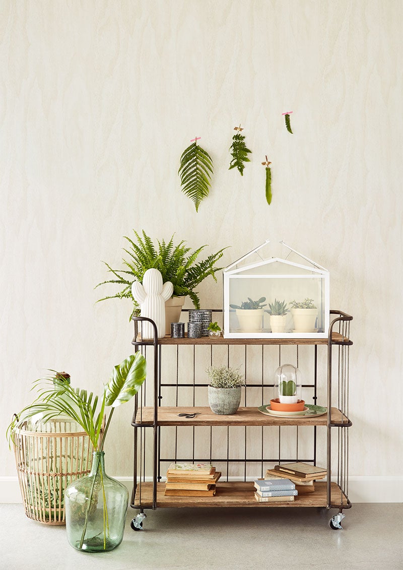 Eijffinger Intrade - Geonature