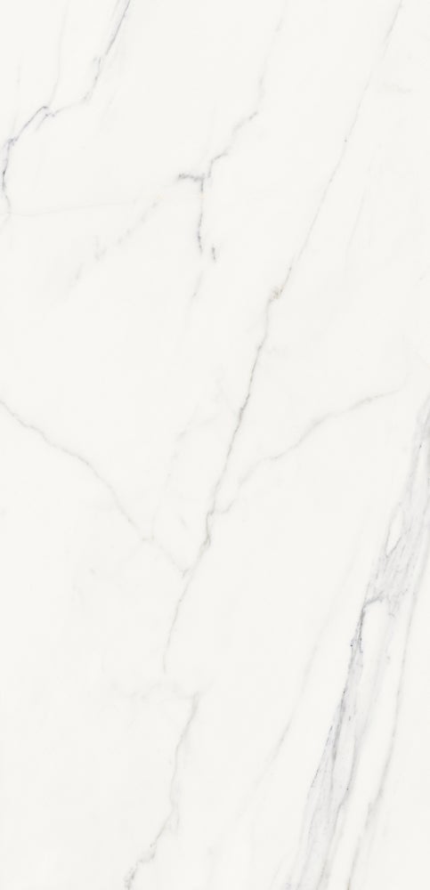 Polar Carrara 60x120 såg