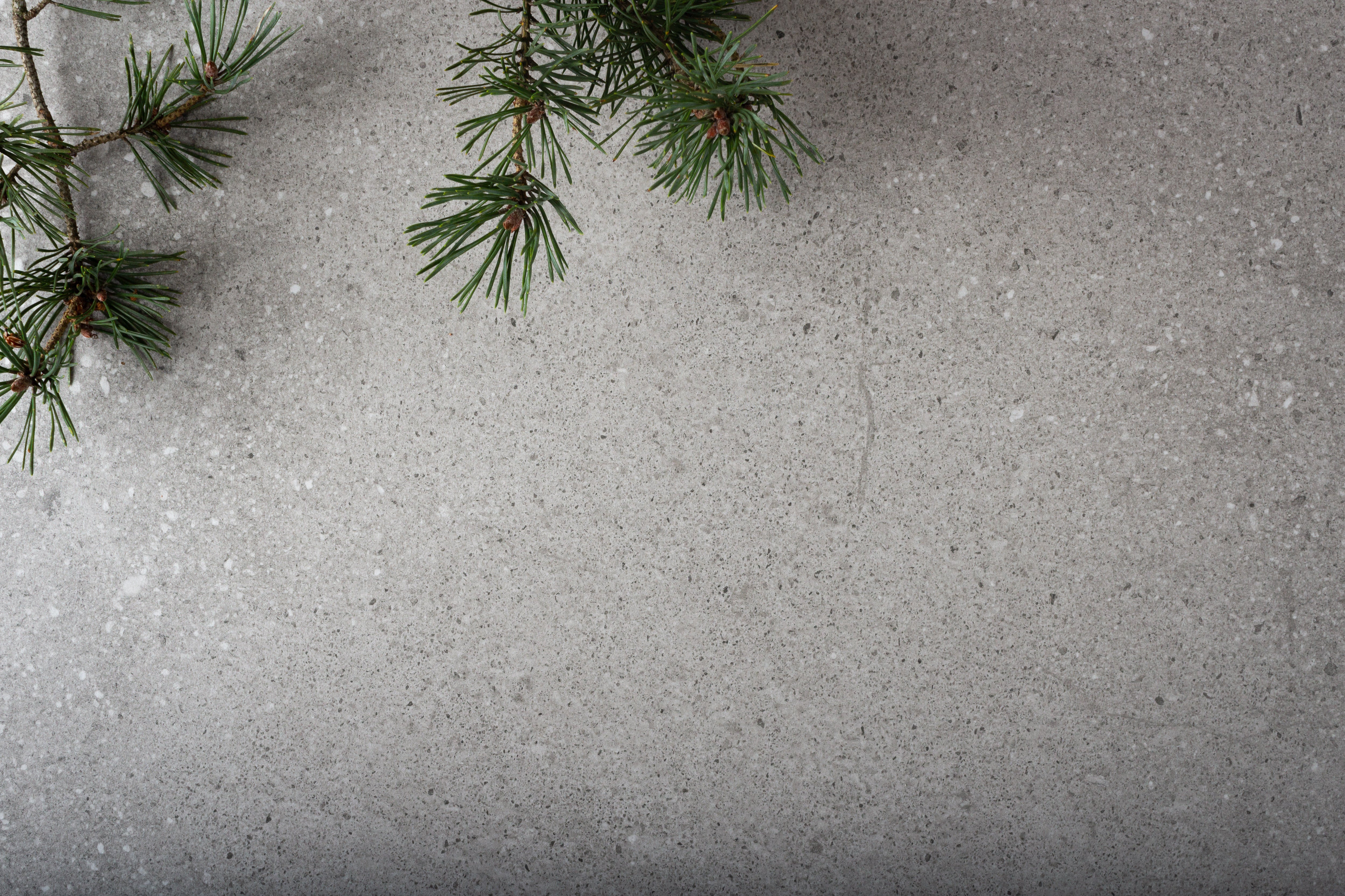 Tundra Silver 60x120 såg