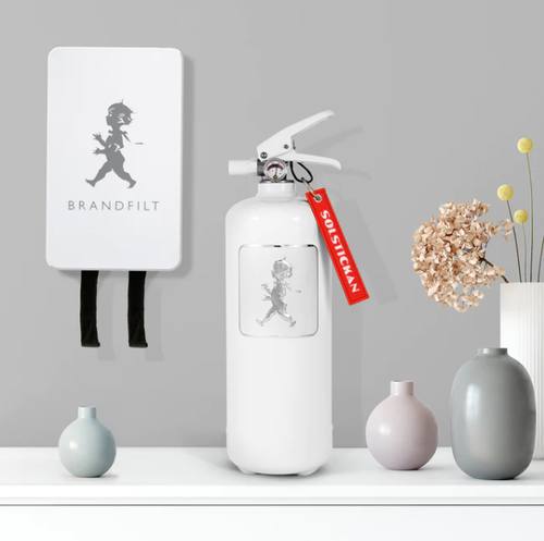 Brandsläckare 2 kg Vit/Silver