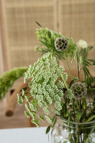 Boråstapeter - Decorama EU 2019