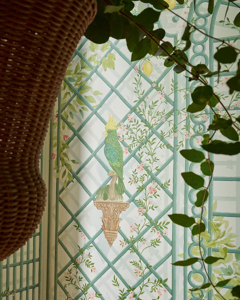 Manuel Canovas - L'Orangerie Prairie