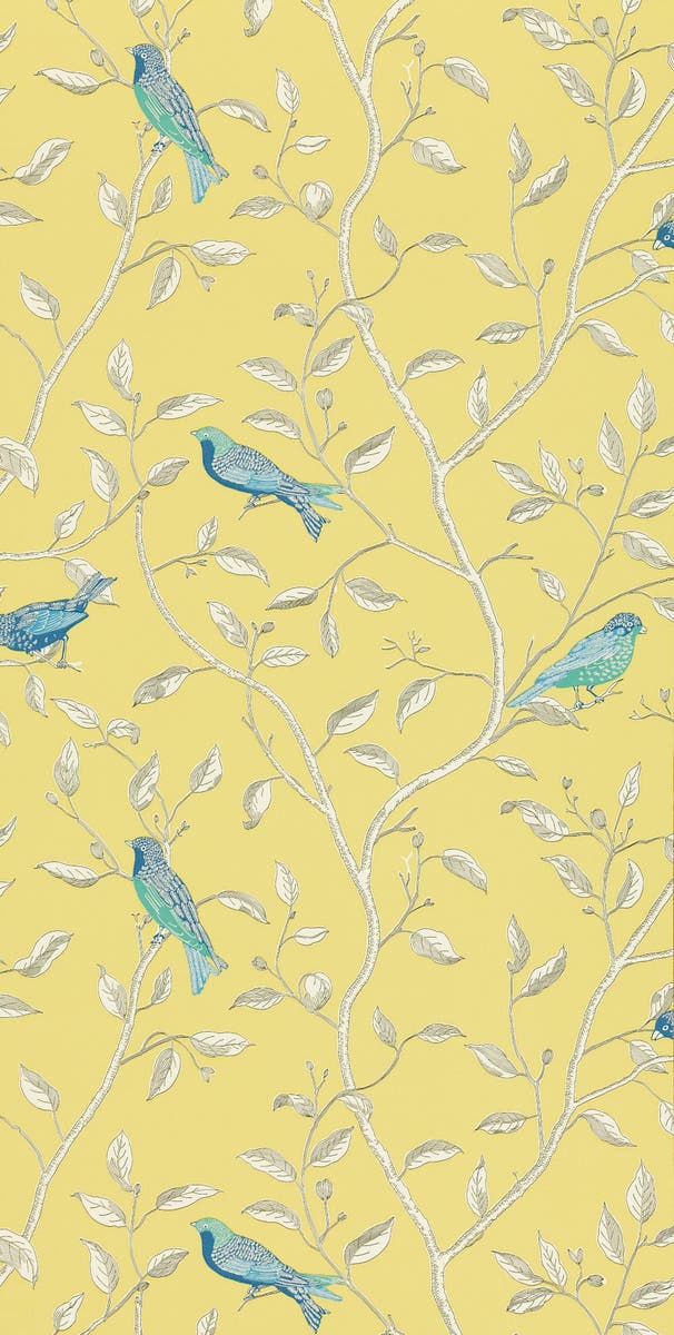 Sanderson - Finches Yellow Sanderson One Sixty Wallp