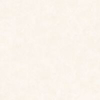 PATINE 2 UNI BEIGE MOYEN PATINE 2