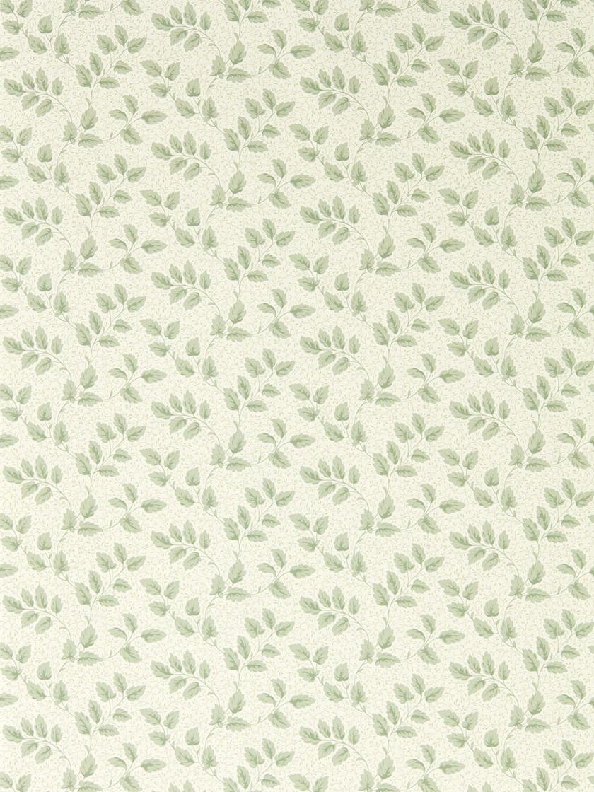 Sanderson - Tomato Leaf Willow Country Woodland Wallcove