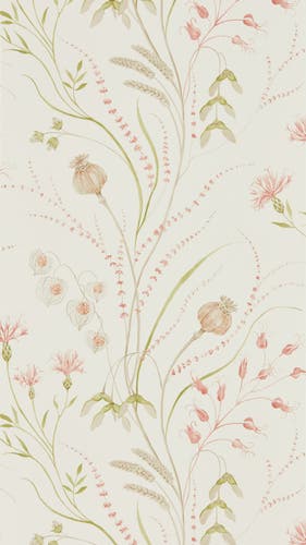 Sanderson - Summer Harvest Claret/Oli Embleton Bay Wallpapers