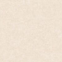 UNI METALLISE/NACRE BRUME BETON 2